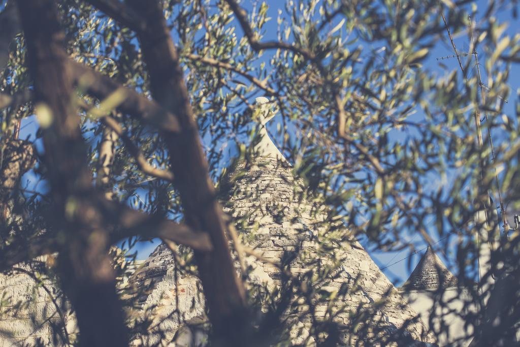 Вилла Residenze Nei Trulli Альберобелло Экстерьер фото